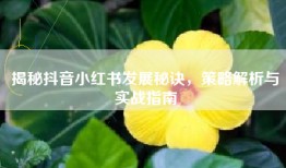 揭秘抖音小红书发展秘诀，策略解析与实战指南