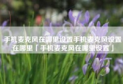 手机麦克风在哪里设置手机麦克风设置在哪里「手机麦克风在哪里设置」