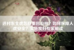 进村东北虎怎样重回山林？如何保障人虎安全？实施放归专家解读