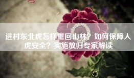 进村东北虎怎样重回山林？如何保障人虎安全？实施放归专家解读