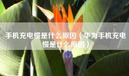 手机充电慢是什么原因（华为手机充电慢是什么原因）