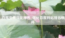 百度免费优化排名_优化百度网站排名软件