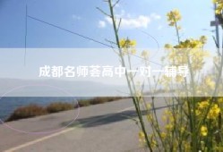 成都名师荟高中一对一辅导