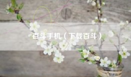 百斗手机（下载百斗）