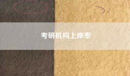 考研机构上岸率