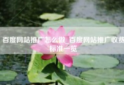百度网站推广怎么做_百度网站推广收费标准一览