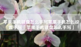 苹果手机键盘怎么手写苹果手机怎么设置手写「苹果手机键盘怎么手写」