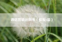 酒店营销计划书（模板4篇）