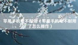 苹果手机电不耐用（苹果手机电不耐用了怎么操作）