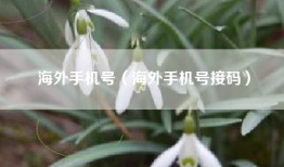 海外手机号（海外手机号接码）
