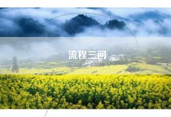 流程三问