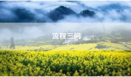 流程三问