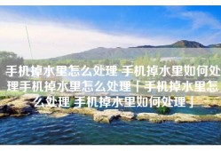 手机掉水里怎么处理 手机掉水里如何处理手机掉水里怎么处理「手机掉水里怎么处理 手机掉水里如何处理」