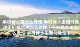 手机掉水里怎么处理 手机掉水里如何处理手机掉水里怎么处理「手机掉水里怎么处理 手机掉水里如何处理」