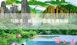 马斯克：被OpenAI指责无理取闹