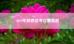 2019年陕西省考行测真题
