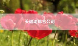 关键词排名公司