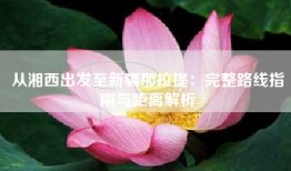 从湘西出发至新疆那拉提：完整路线指南与距离解析