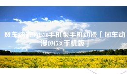 风车动漫DM530手机版手机动漫「风车动漫DM530手机版」