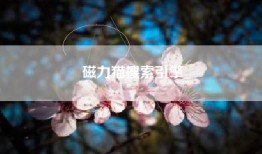 磁力猫搜索引擎