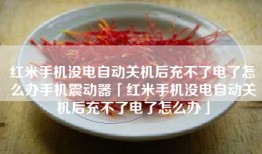 红米手机没电自动关机后充不了电了怎么办手机震动器「红米手机没电自动关机后充不了电了怎么办」