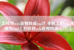 怎样将m4a音频转成mp3？手机上把m4a转换为mp3「怎样将m4a音频转成mp3？」