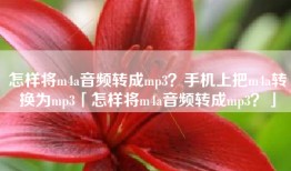 怎样将m4a音频转成mp3？手机上把m4a转换为mp3「怎样将m4a音频转成mp3？」