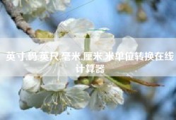 英寸,码,英尺,毫米,厘米,米单位转换在线计算器