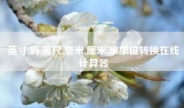 英寸,码,英尺,毫米,厘米,米单位转换在线计算器