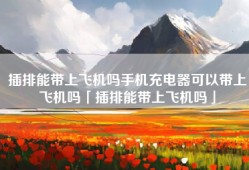 插排能带上飞机吗手机充电器可以带上飞机吗「插排能带上飞机吗」
