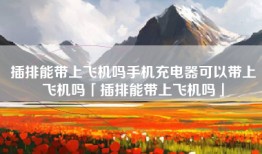 插排能带上飞机吗手机充电器可以带上飞机吗「插排能带上飞机吗」