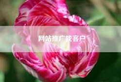 网站推广找客户