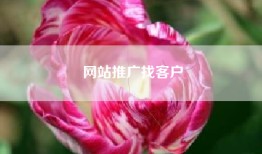 网站推广找客户
