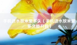 手机进水放米里多久（手机进水放米里多久能开机）