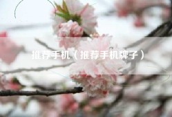 推荐手机（推荐手机牌子）