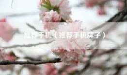 推荐手机（推荐手机牌子）