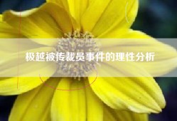 极越被传裁员事件的理性分析