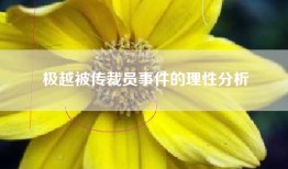 极越被传裁员事件的理性分析