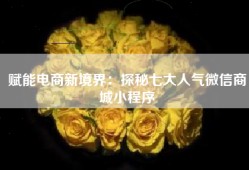 赋能电商新境界：探秘七大人气微信商城小程序