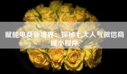 赋能电商新境界：探秘七大人气微信商城小程序