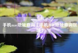 手机mac地址查询（手机MAC地址查询区域）
