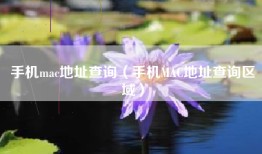 手机mac地址查询（手机MAC地址查询区域）