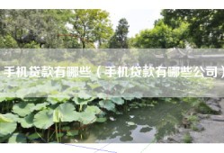 手机贷款有哪些（手机贷款有哪些公司）