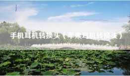 手机耳机转换头（苹果耳机转换头）