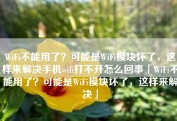 WiFi不能用了？可能是WiFi模块坏了，这样来解决手机wifi打不开怎么回事「WiFi不能用了？可能是WiFi模块坏了，这样来解决」