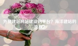 外贸建站网站建设的平台？海洋建站的流程？