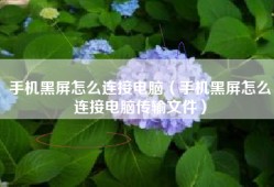手机黑屏怎么连接电脑（手机黑屏怎么连接电脑传输文件）