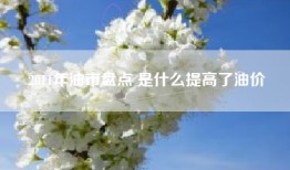 2011年油市盘点 是什么提高了油价