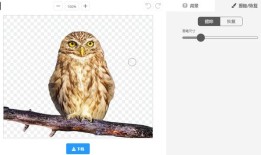 免费抠图软件有哪些？推荐5款免费的抠图软件