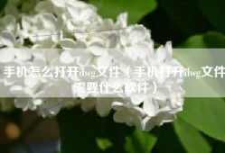 手机怎么打开dwg文件（手机打开dwg文件需要什么软件）